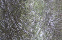 Catstree fibreglass roof work